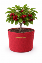 12X12 Inch Geofabric Grow Bag 400 Gsm