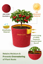 18X18 Inch Geofabric Grow Bag 