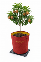 18X18 Inch Geofabric Grow Bag 