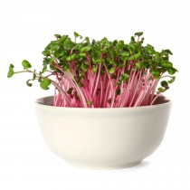 Beetroot microgreen Seeds 25 gram