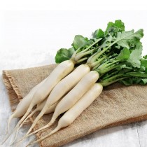 Radish Microgreen Seeds 25 grams