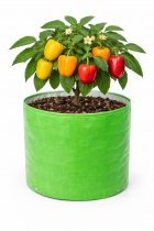  14x14 Inch 350 GSM HDPE GROW Bag | TERRACE GARDENING BAG