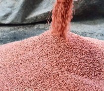 Potash 200 Grams(MOP)