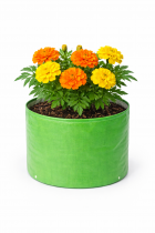 12x12 Inch 350 GSM HDPE GROW BAG