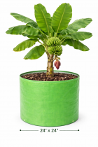 24x24 Inch 350 GSM HDPE GROW Bag