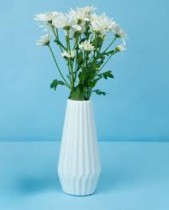 Kohinoor Vase White Color