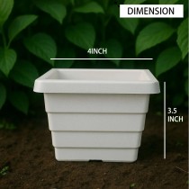 4 inch Orchid square pot with in bottom tray white colour