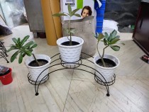 metal plant stand with pot