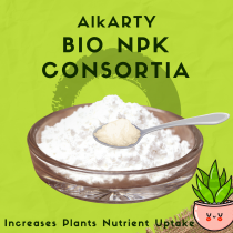 NPK CONSORTIA 200 GRAMS