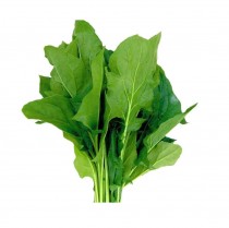 Desi Kateri Palak Seeds