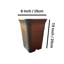 6 Inch Square Tall Plastic Pot for Succulents, Cactus & Indoor Plants