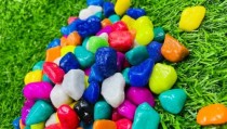 Multicolor 10 - 30 mm Decorative Pebbles 450 Grams
