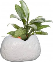 Gift Stone Pot 10 Inch White color