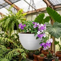 8 Inch Roxy Pot Basket Assorted Color