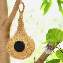 Bird Nest 