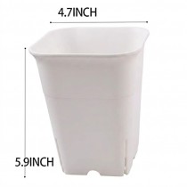 4.7 Inch Tall Square Pot For Adenium & Succulents Plants White Color