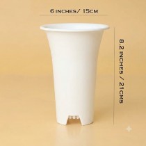 6 Inch Tall Round Pot for Succulents, Cactus & Adenium White Color