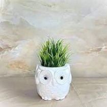 Owl Pot Assorted color