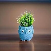  4 Inch Owl Pot Assorted color