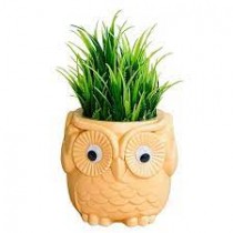 Owl Pot Assorted color