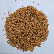 Kasoori Methi Seeds