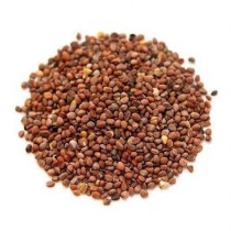 Radish (mooli) 30+ seeds