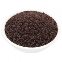 Sarso Seeds 100+ seeds