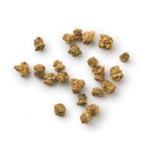 Beetroot (chakundar) seeds