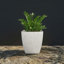 6 Inch Nexus Pot Marble white color