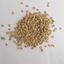 Arka samrat Tomato Seeds