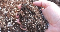 Perlite for Gardening 250 Grams