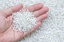 Perlite for Gardening 250 Grams