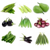 9 Summer Vegetables seeds combo