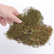 900 Grams Sphagnum moss grass