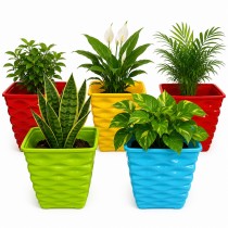 4 inch Diamond pot Assorted Color