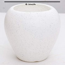 6 inch Apple pot