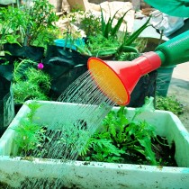  Plastic Watering Can 3.5LTR