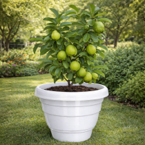 24 inch Eco Fresh Pot Marble White Color