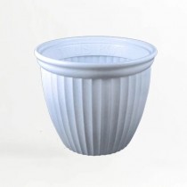 8 Inch Lotus Pot Assorted Color