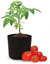  24 Inch Geo fabric grow bag