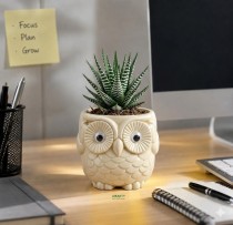  4 Inch Owl Pot Assorted color