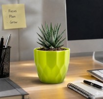 4 inch Rich Pots 