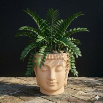 8 inch Face Pot 