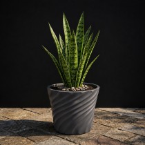 8 inch lunner pots gray color