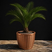 8 inch matt classic pot brown colour