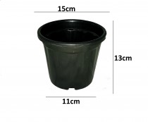 6 inch Nursery Black Pot 