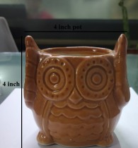 Owl ceramic pot 4.5 inches