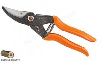 Falcon Major Steel Secateurs (Assorted)