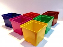 4 inch Gift a Plant pot Assorted Color