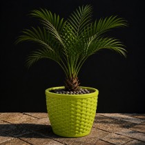 8 inch matt classic pot green colour